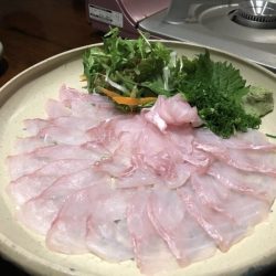 星隆丸 釣果