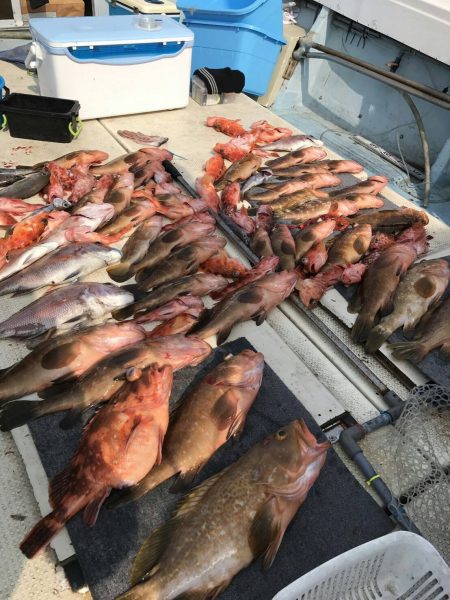 リトルワン 釣果