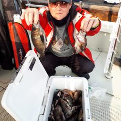 釣り船くわだ 釣果