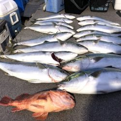 幸風（さちかぜ） 釣果