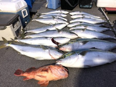 幸風（さちかぜ） 釣果