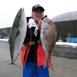 大進丸(新潟) 釣果