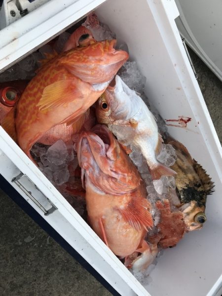 寿裕 （YOSHIHIRO） 釣果