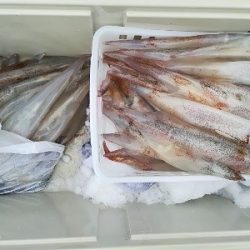 IDATEN(イダテン) 釣果