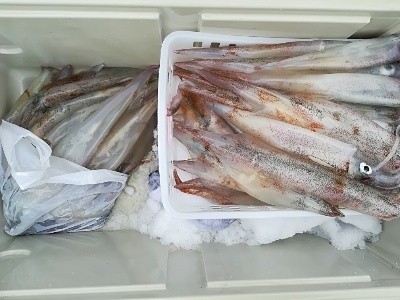 IDATEN(イダテン) 釣果