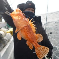 真祐丸 (しんゆうまる) 釣果