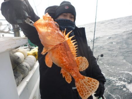 真祐丸 (しんゆうまる) 釣果