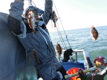 鯛紅丸 釣果