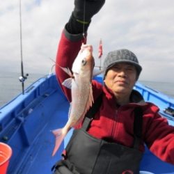 鯛紅丸 釣果