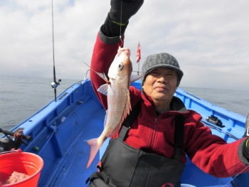 鯛紅丸 釣果