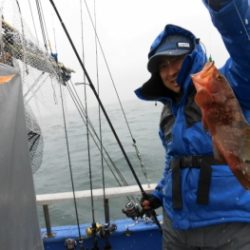 鯛紅丸 釣果