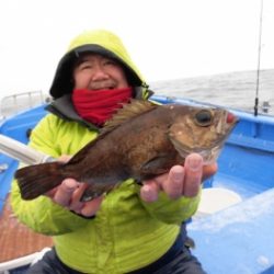鯛紅丸 釣果