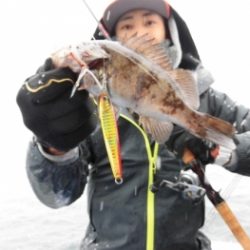 鯛紅丸 釣果