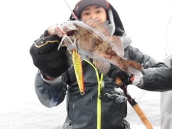 鯛紅丸 釣果