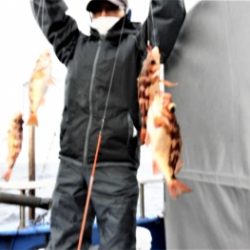 鯛紅丸 釣果