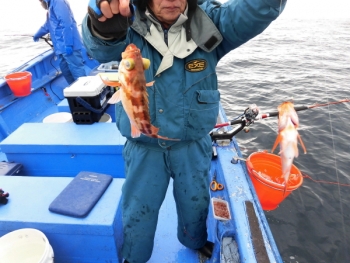 鯛紅丸 釣果