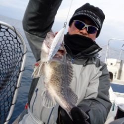 鯛紅丸 釣果