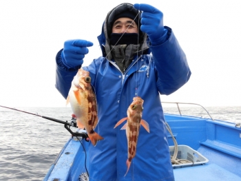 鯛紅丸 釣果