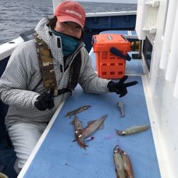 松栄丸 釣果