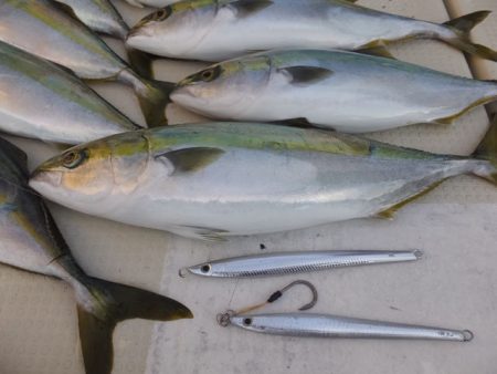 Hit Rush(ヒット ラッシュ） 釣果…