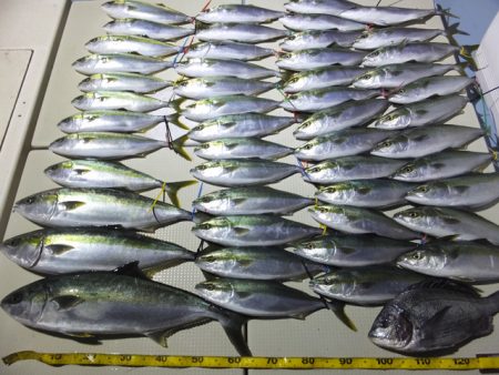 Hit Rush(ヒット ラッシュ) 釣果