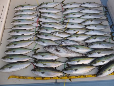 Hit Rush(ヒット ラッシュ） 釣果…