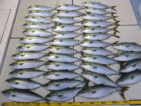 Hit Rush(ヒット ラッシュ） 釣果…