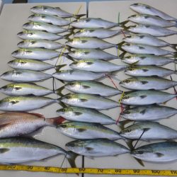 Hit Rush(ヒット ラッシュ） 釣果