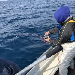 幸風（さちかぜ） 釣果