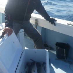 第五慶門丸 釣果