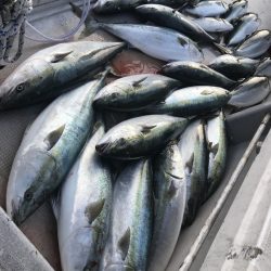 寿裕 （YOSHIHIRO） 釣果