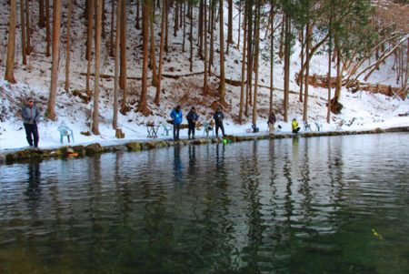 小菅トラウトガーデン 釣果