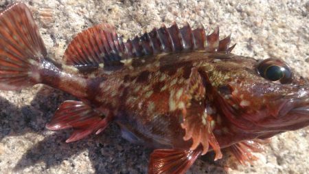 少し荒れてる時の方が