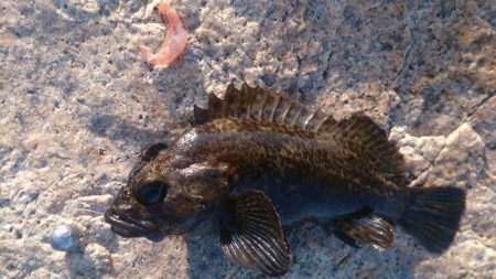 少し荒れてる時の方が