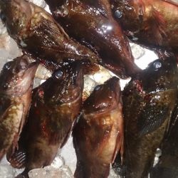 少し荒れてる時の方が