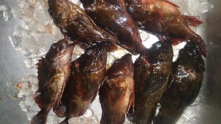 少し荒れてる時の方が