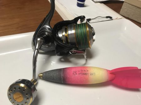 和歌山遠征 磯デビュー