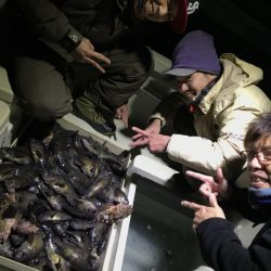 Magic(マジック) 釣果