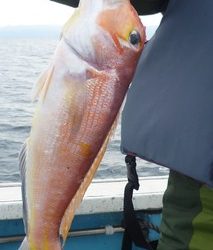 松福丸 釣果