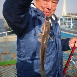 オリジナルメーカー海づり公園(市原市海づり施設) 釣果