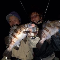 Magic(マジック) 釣果