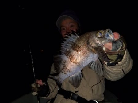 Magic(マジック) 釣果