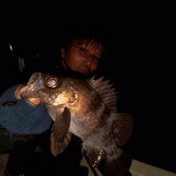 Magic(マジック) 釣果