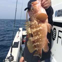 リトルワン 釣果