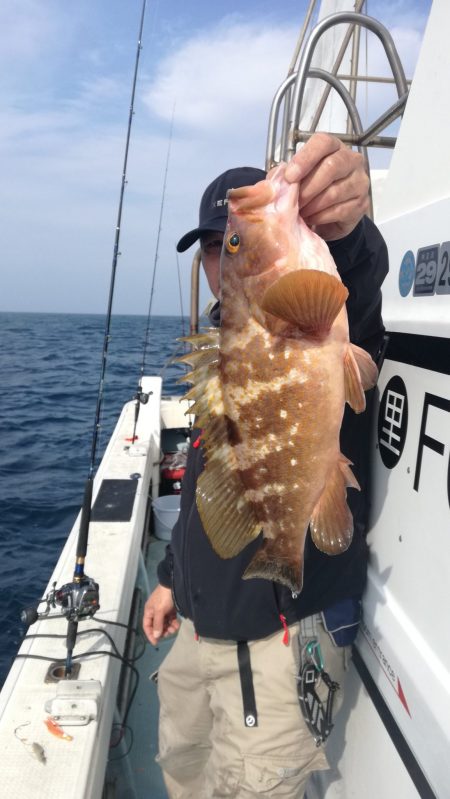 リトルワン 釣果