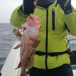 リトルワン 釣果