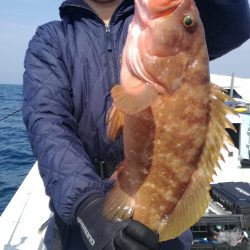 リトルワン 釣果