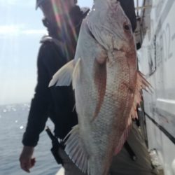 リトルワン 釣果