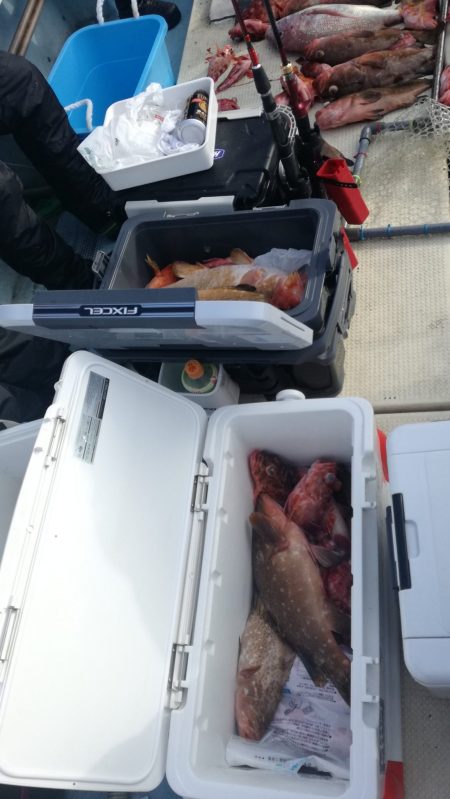 リトルワン 釣果