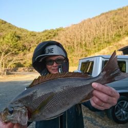 千津丸 釣果